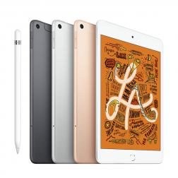 iPad mini 5 WiFi 64GB Gold  (2019)