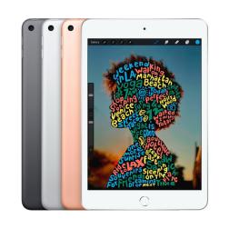 iPad mini 5 WiFi 64GB Space Gray (2019)