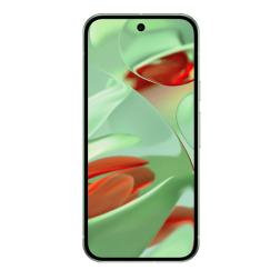 Google Pixel 9 12/256gb Wintergreen